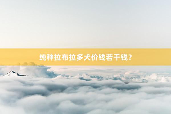 纯种拉布拉多犬价钱若干钱？